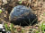지난 2014년 발견된 진주운석