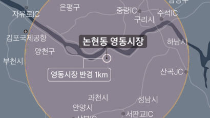 하다하다 이런 법도 나왔다…"시장 20km내 대형마트 금지"