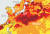 미국 해양대기청(NOAA)의 산호 백화 경고 현황. 짙은 붉은색이 가장 높은 단계의 백화 위협을 나타낸다. 대만 근해와 일본, 북태평양 일대에 가장 높은 경보가 발령됐다. [사진 NOAA]