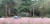 9월 22일 오후 제주 서귀포시 남원읍 휴애리자연생활공원 핑크뮬리 정원에서 관광객들이 가을 정취를 느끼고 있다. 뉴스1