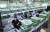 서울 노원구 롯데마트 중계점에 마련된 온라인 주문상품 전용 집하장에서 직원들이 상품 배송 작업을 하고 있다. 연합뉴스