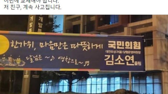 '달님영창' 현수막에···진중권 "국민의힘 지뢰밭, 계속 사고친다"