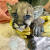 지난달 30일 미국 캘리포니아주 산불에서 극적으로 구조된 새끼 퓨마. [오클랜드 동물원 페이스북]