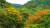 지난해 10월 14일 제주 한라산국립공원 천아숲길 구간에 단풍이 곱게 물들어 가고 있다. 연합뉴스