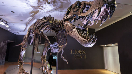 가장 완벽한 티라노사우루스 화석, 경매서 368억원에 낙찰