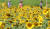전국에 폭염특보가 발효됐던 8월 19일 경북 경산시 하양읍 금호강 옆 해바라기밭 뒤에서 공공근로 작업자들이 파라솔 모양의 햇빛가리개 모자를 쓰고 지나가고 있다. 뉴스1