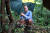 문재인 대통령이 2018년 경남 양산시 사저 뒷산에서 산책을 하며 떨어진 감을 보고 있다. [청와대 제공]