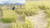 지난 7일 중국 인터넷 스타 왕훙이 자신의 윈난성 다리에 있는 논밭을 무료 개방하자 관광객들이 논으로 마구 들어가 사진을 찍는 바람에 다 익은 벼가 짓밟히는 상황이 벌어졌다. [중국청년망 캡처]