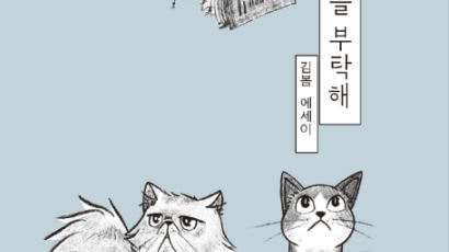 [문장으로 읽는 책] 김봄 『좌파 고양이를 부탁해』
