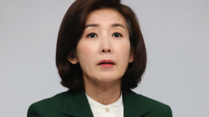 "괘씸죄 걸려 잔인한 정치복수" 나경원 발언에…신동근 "피해망상"
