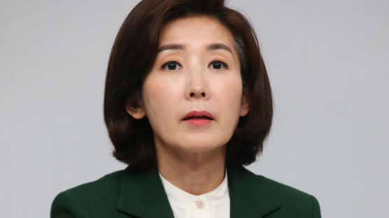 "괘씸죄 걸려 잔인한 정치복수" 나경원 발언에…신동근 "피해망상"