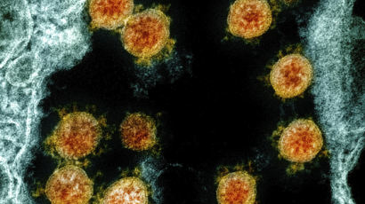 코로나, 핸드폰‧돈 표면에서 독감 바이러스보다 11일 더 살아남는다