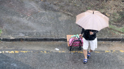 날씨 92% 맞다던 기상청 꼼수홍보…'비' 예보 44%만 맞혔다