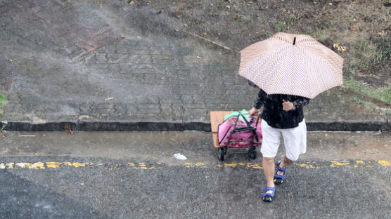 날씨 92% 맞다던 기상청 꼼수홍보…'비' 예보 44%만 맞혔다
