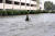 지난 9월 허리케인이 플로리다를 덮쳤다. 플로리다주 펜사콜라에서 한 남성이 자전거를 끌고 물에 잠긴 거리를 걷고 있다. [AFP] 