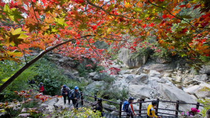 정상 인증샷 참고 삼삼오오···산린이 위한 ‘코로나 단풍산행 팁’