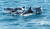 지난 4월 28일 오전 제주 서귀포시 대정읍 앞바다에서 남방큰돌고래들이 떼지어 헤엄치고 있다. 연합뉴스