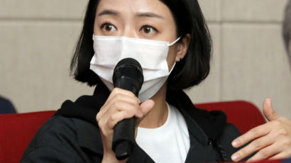 배현진 "중앙박물관 '가야전' 일제식민사관 가져와"