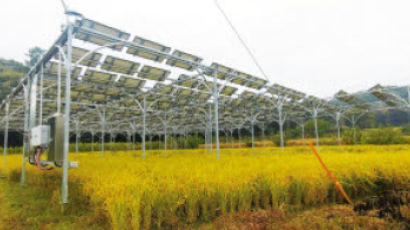 농어촌상생협력기금 활용한 태양광 설비 지원으로 농촌 경쟁력 향상 기여