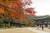 월정사 금강루의 가을 모습.