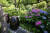 한국 항아리와 수국이 어우러진 정원. 한국과 영국의 아름다움을 잘 녹여낸 정원이다. 장진영 기자