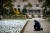 23일(현지시간) 코로나19 희생자를 추모하기 위해 미국 워싱턴에 설치된 수전 브레넌 퍼스텐버그의 작품 '어떻게 미국에 이런 일이' 앞에서 한 남성이 무릎을 꿇고 묵념하고 있다. [로이터=연합뉴스]
