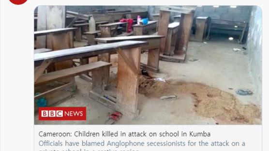 카메룬 학교에 괴한들 총기 난사, 어린이 8명 사망…12여명 부상