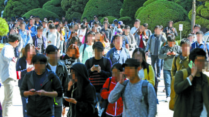 비수도권大 졸업→지역 취업 청년 첫 월급 186만원…수도권의 92%