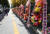 29일 오전 서울 서초구 대검찰청 앞 인도에 윤석열 검찰총장을 응원하는 지지자들이 보낸 화환들이 늘어서 있다. 뉴시스