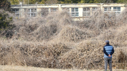 '이것'하니 되살아났다…폐교 위기 '작은학교 살리기' 실험