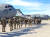 지난 1월 미국 신속대응부대(IRF)가 노스캐롤라이나주 포트 브래그 기지에서 C-17 수송기에 탑승하고 있다. 미군은 이라크 바그다드 주재 대사관 습격 사태 대응을 위해 제82 공정사단 소속 보병대대 등 병력 750명을 급파했다. [AFP]