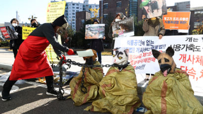 "개는 식품 아니다"는 식약처, 그럼에도 단속 못하는 이유