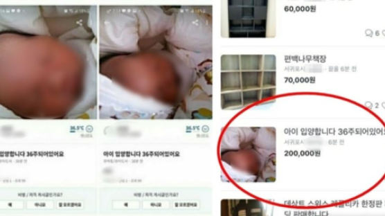 “20만원에 아이 입양” 글 올린 미혼모 검찰 송치…아이는 입양 절차