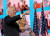 조 바이든 미국 민주당 대통령 후보와 부인 질 바이든 여사. 지난 8월 델라웨어주 윌밍턴 체이스센터에서 열린 전당대회에서 지지자들에 환호에 답하고 있다. [AFP=연합뉴스]