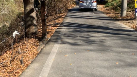 내리막길서 저절로 올라가는 車…"여기가 도깨비길 아입니꺼" [영상]