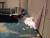 지난달 30일 오후 3시 10분쯤 부산의 한 특급호텔에서 현수막 설치작업을 하던 A씨(39)가 작업도중 리프트가 넘어지면서 바닥으로 떨어졌다. [사진 부산경찰청]