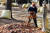 지난 10일 인천광역시 남동구 중앙공원에서 관계자가 낙엽을 마대자루에 담고 있다. 뉴시스
