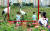 9월 20일 경북 김천시 율곡동 혁신도시 KTX역 인근 유휴 토지에 조성된 2ha의 대형 꽃밭에 놀러 온 어린이들이 포토존에서 사진을 찍고 있다. 뉴스1