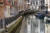 지난 5월 22일 촬영된 이탈리아 유명 관광지 베니스의 운하. 코로나19 팬더믹으로 봉쇄령이 내려져 관광객이 끊기자 이곳 수질이 눈에 띄게 좋아졌다. [EPA=연합뉴스]