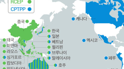 세계 최대 FTA 'RCEP' 뜨자, K팝 웃었다…K방역도 이득