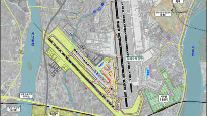 내년 부산시장 선거 앞두고…김해신공항 부적격 가닥