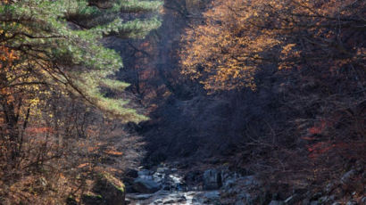 경기도·경기관광공사가 픽한 홍류(紅流) 흐르는 늦가을 단풍 계곡