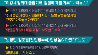 [현장에서] 여권에 불리하면 “가짜뉴스”…청와대·여당의 선택적 발뺌