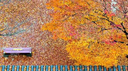 [한 컷] 가을비가 그린 수채화