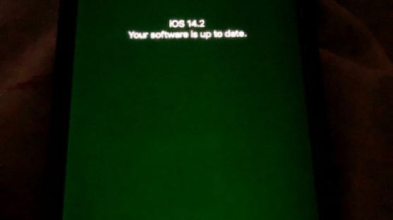 애플, 아이폰12 디스플레이 결함 인정..."최신 iOS로 업데이트 하라" 
