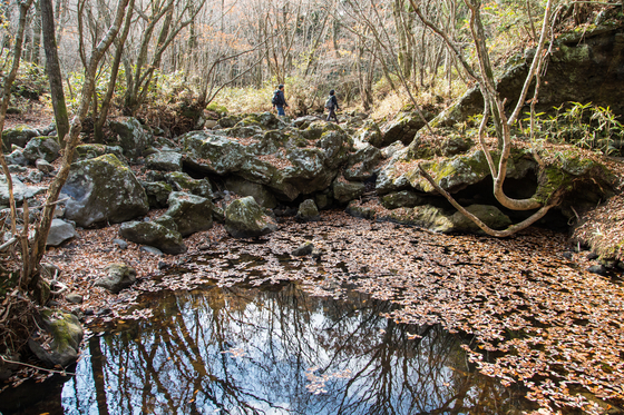 한라산둘레길을 걷다 보면 크고 작은 천과 연못을 만난다. 늦가을에는 물에 뜬 낙엽이 묘한 운치를 풍긴다.