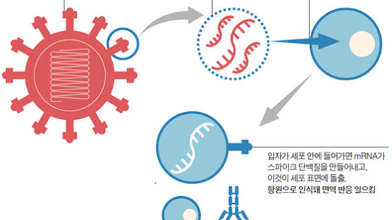 ‘신기술’ mRNA 백신, 문제는 FDA 승인 아닌 대량생산