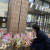 추미애 법무부 장관이 지난 19일 인스타그램에 지지자들에게서 받은 꽃바구니 사진을 공개했다. 사진에서 추 장관은 청사 현관과 청사 내 복도에 늘어선 꽃바구니들을 바라보고 있다. [사진 인스타그램]