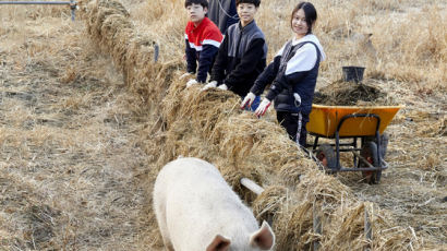 [소년중앙] “돼지에게 희망을” 축산공장 탈출한 새벽이가 전하는 돼지 같은 삶 이야기