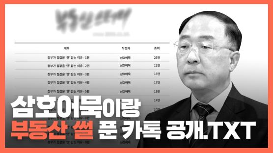 논객 삼호어묵, 김현미 교체설에 "욕받이 갈아치울 이유없다"